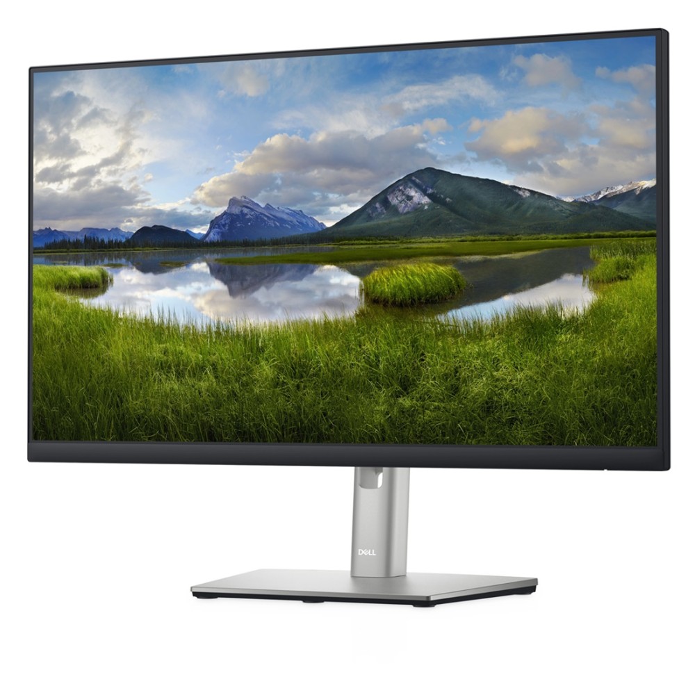 Monitor Dell 24 - P2422H Monitor Dell 24 - P2422H